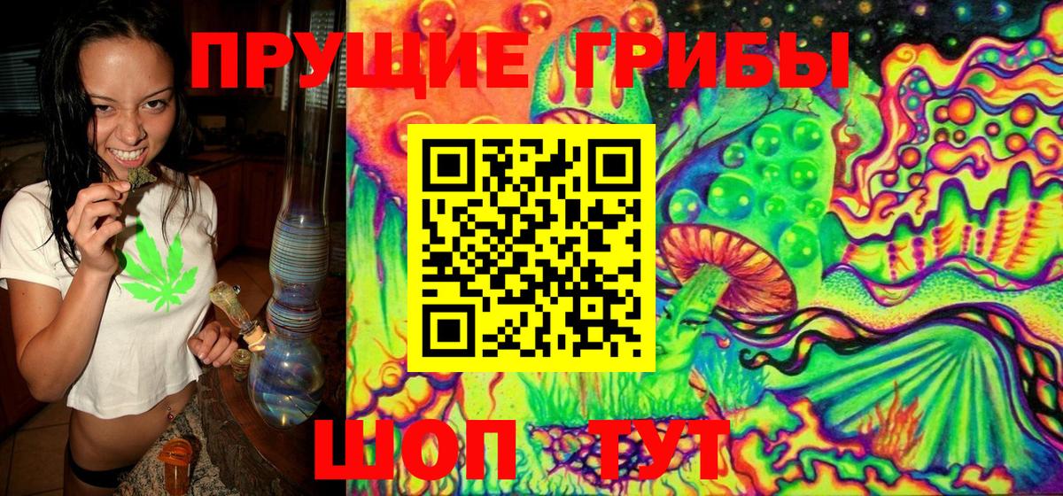 Псилоцибиновые грибы ЛСД  Галлюциногенные грибы Psilocybine cubensis  Вход с VPN  Донской 