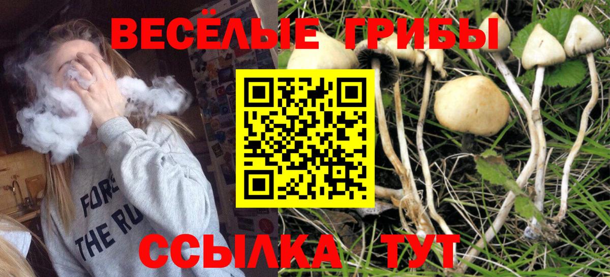 Галлюциногенные грибы Cubensis Донской